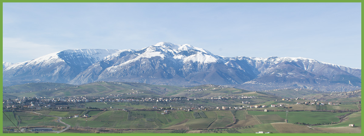 Casa Di Oliva Farmhouse - Castel Frentano, Abruzzo, Italy