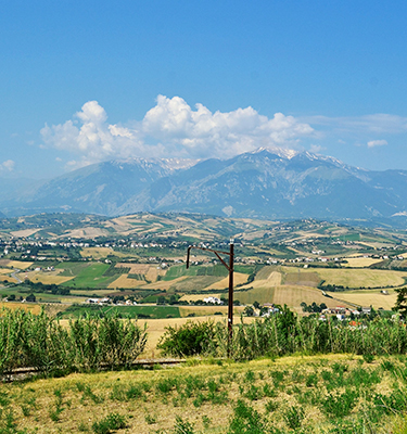 Casa Di Oliva - Traditional Italian Farmhouse Gallery