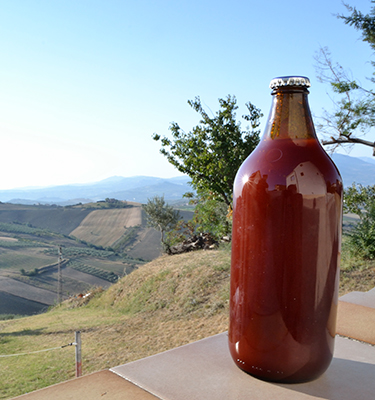 Casa Di Oliva - Traditional Italian Farmhouse Passata